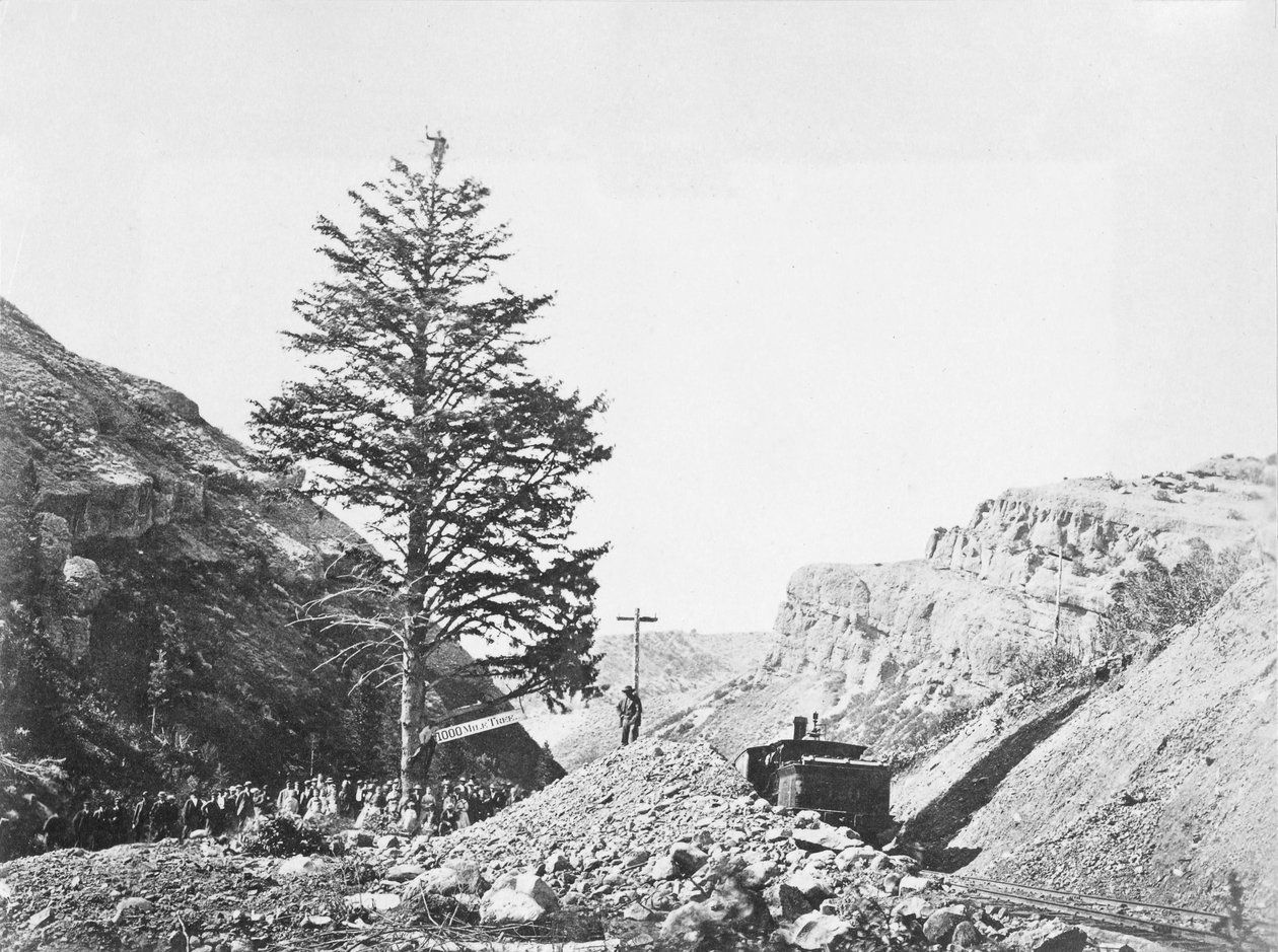 Thousand Mile Tree ved Wilhelminas Pass med en gruppe mennesker ved basen og en mann på toppen av treet ved siden av jernbanen. av A.J. Russell