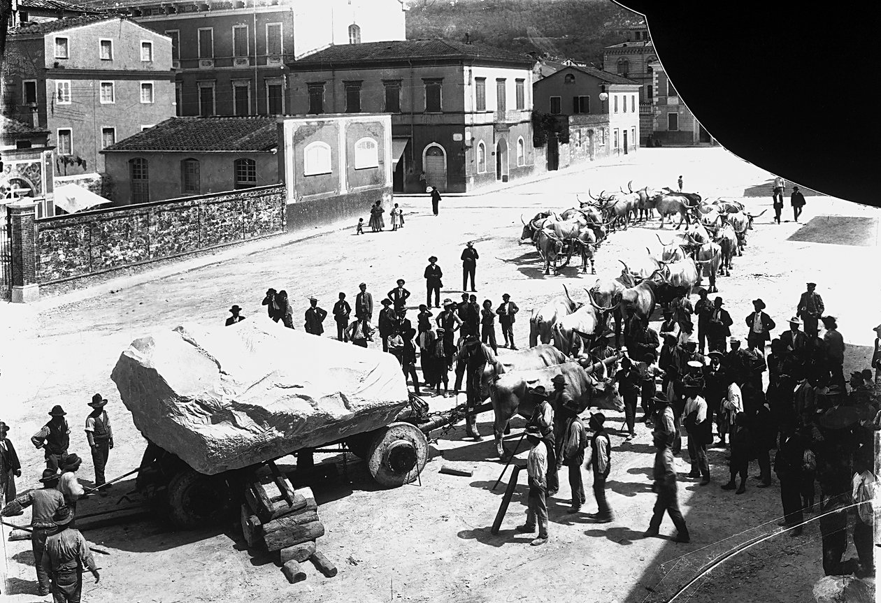 Carrara: mange okser trekker en vogn lastet med en enorm blokk med marmor som kommer fra bruddene i Apuan (s/hv-bilde) av A. Corsini