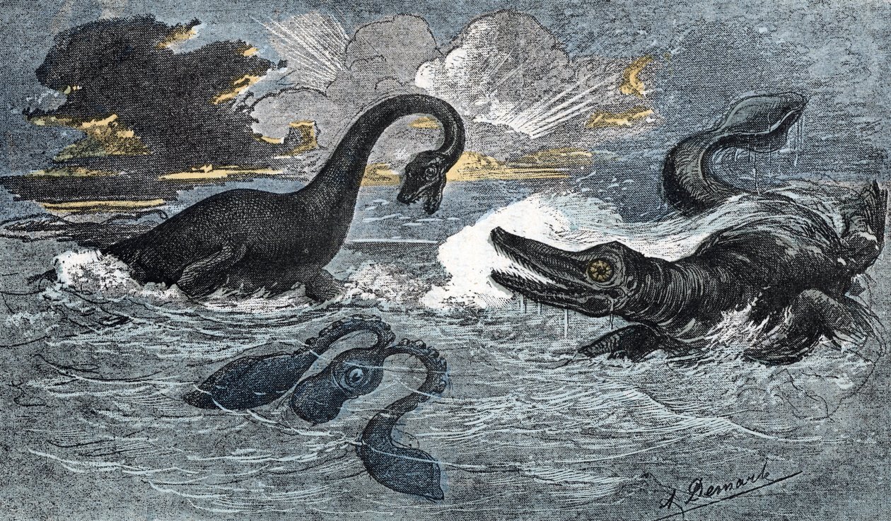 Plesiosaur og en ikthyosaur fra nedre jura-perioden av A. Demarle