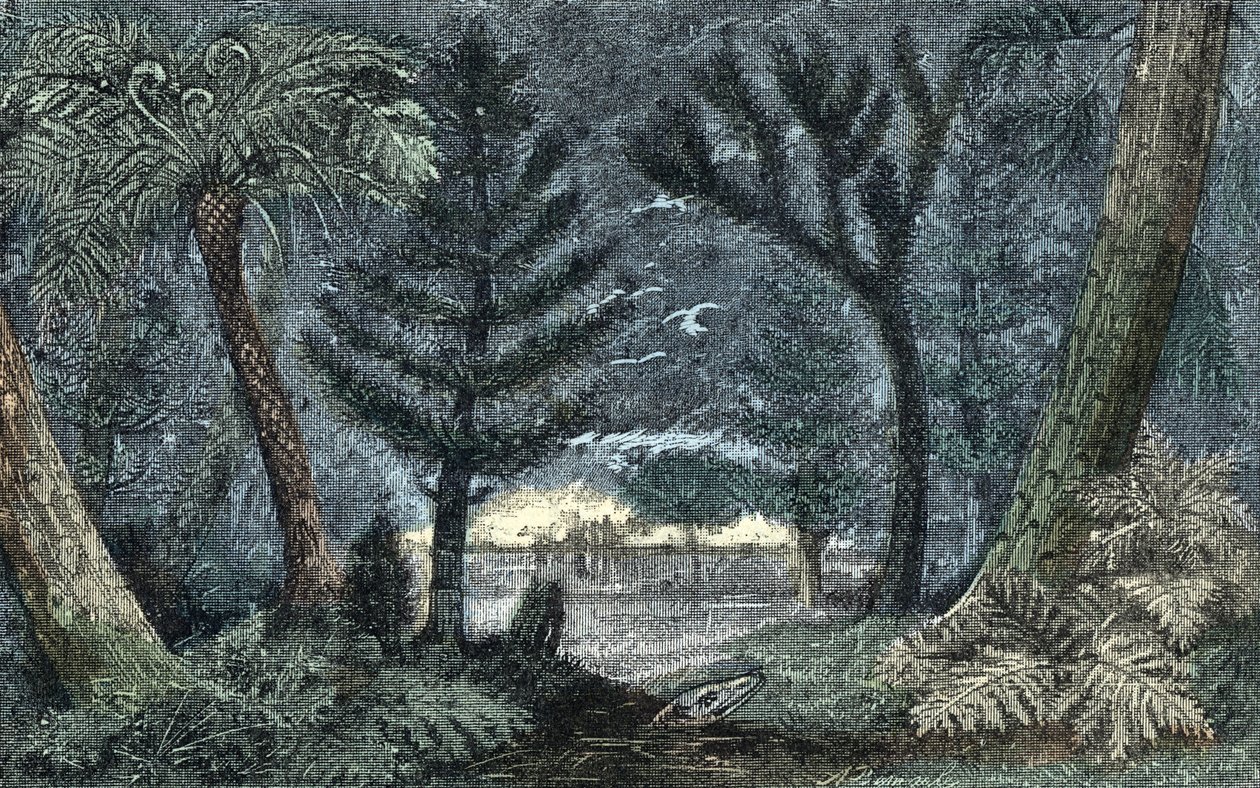 Forhistorie: karakteristisk landskap med myr og skog av A. Demarle