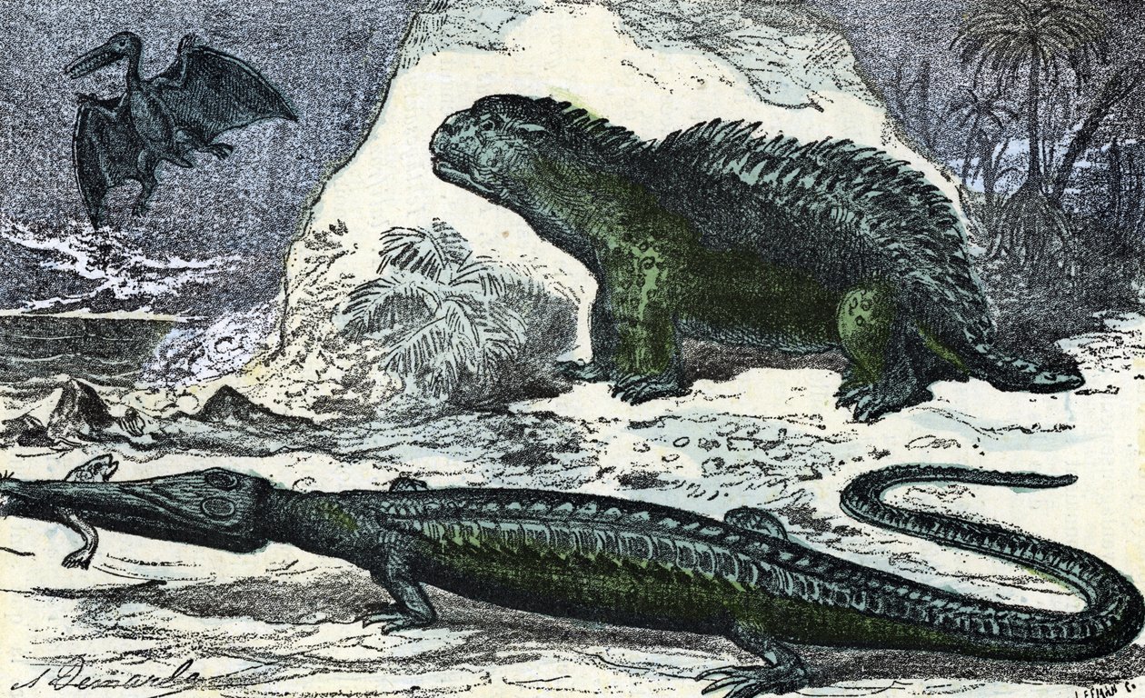 Forhistorie: representasjon av en teleosaur (forlengende snute) og en hyleosaur fra juraperioden" (Forhistorie, jura: teleosaurus og hylaeosaurus) Gravering fra "" Natur og menneske"" av Rengade 1881 Privat samling av A. Demarle