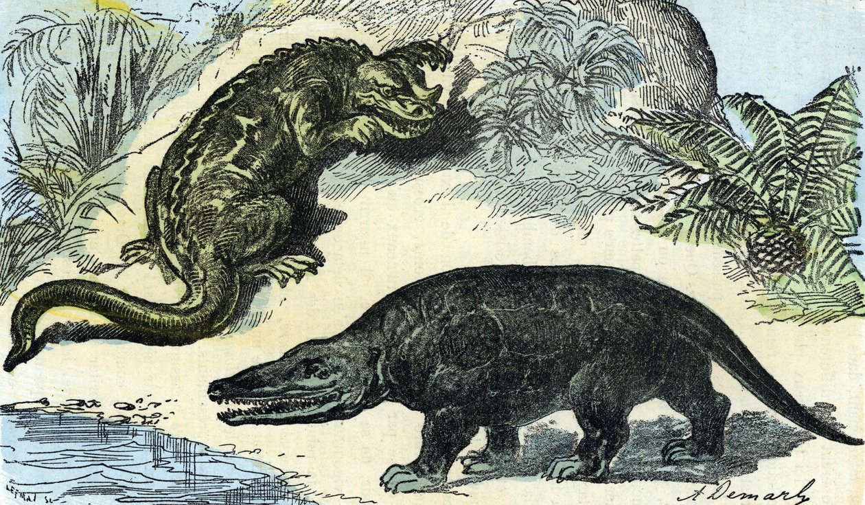 Forhistorie: representasjon av en iguanodon og megalosaurus fra krittperioden av A. Demarle