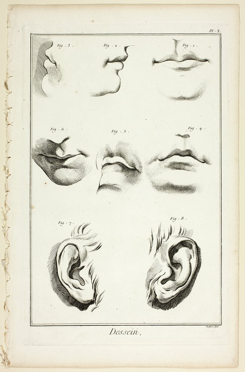 Design: Facial Anatomy fra Encyclopédie av A. J. Defehrt