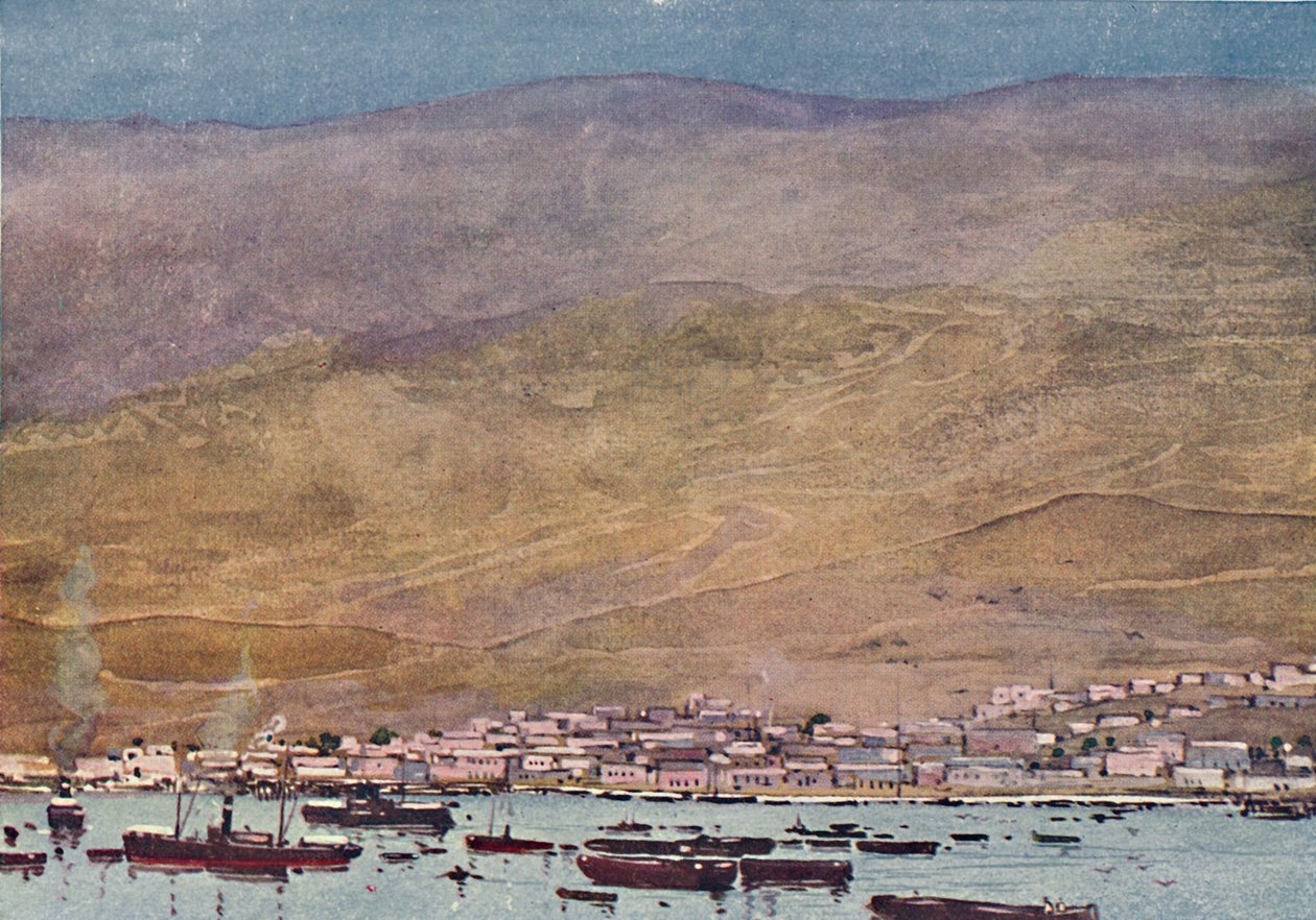 Arica, 1916 av A. S. Forrest