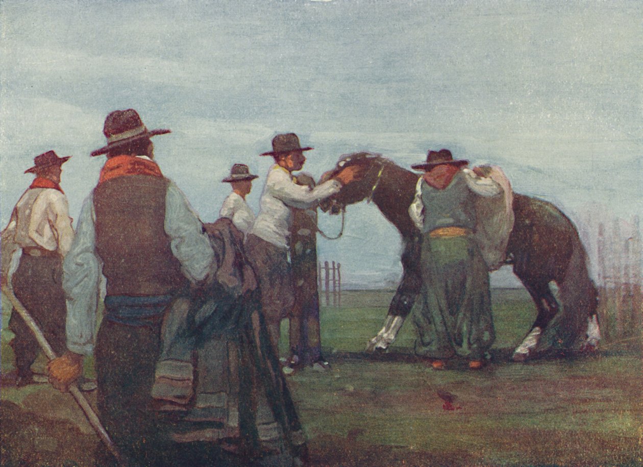 Gauchos bryter inn en ung hest, 1916 av A. S. Forrest