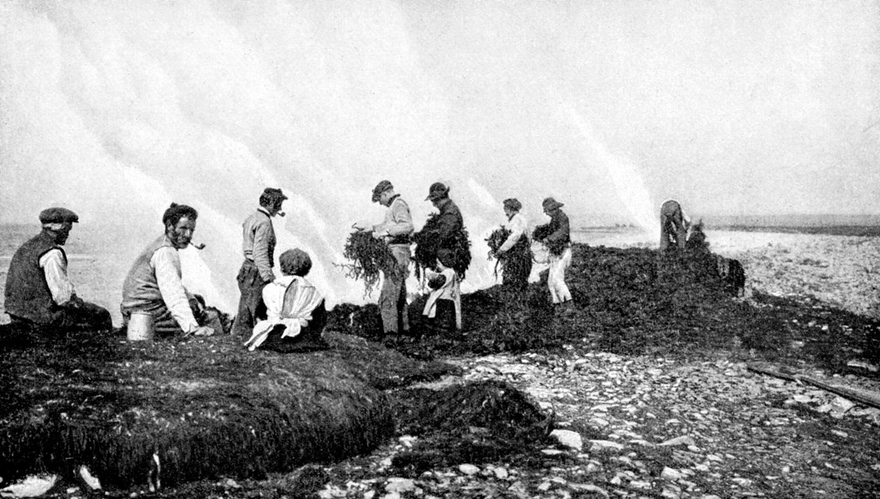 Brennende tang for tare, Aran Islands, Irland, 1922. av A. W. Cutler