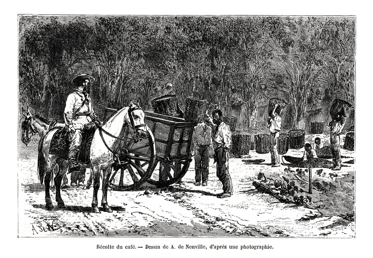 Høsting av kaffen, Brasil, 1800-tallet av A. de Neuville