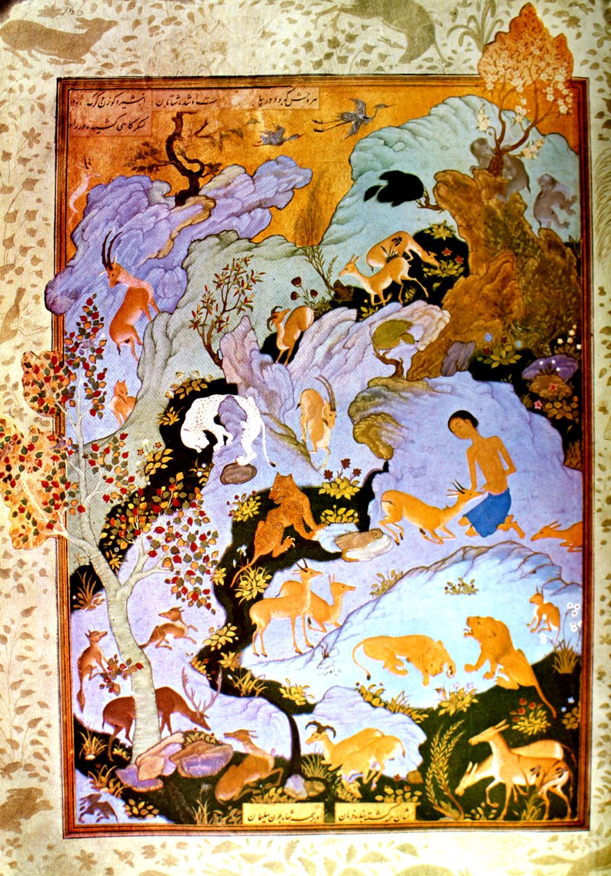 Aga Mirak - Majnun i ørkenen av Ağa Mirək