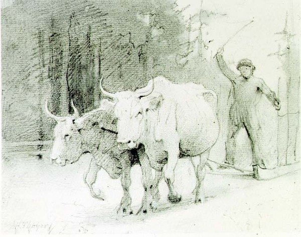 En fransk bonde som driver med okser (kull på papir) av Abbott Handerson Thayer