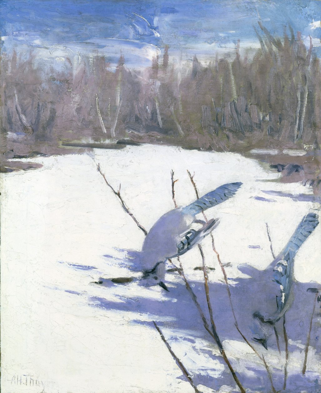  av Abbott Handerson Thayer