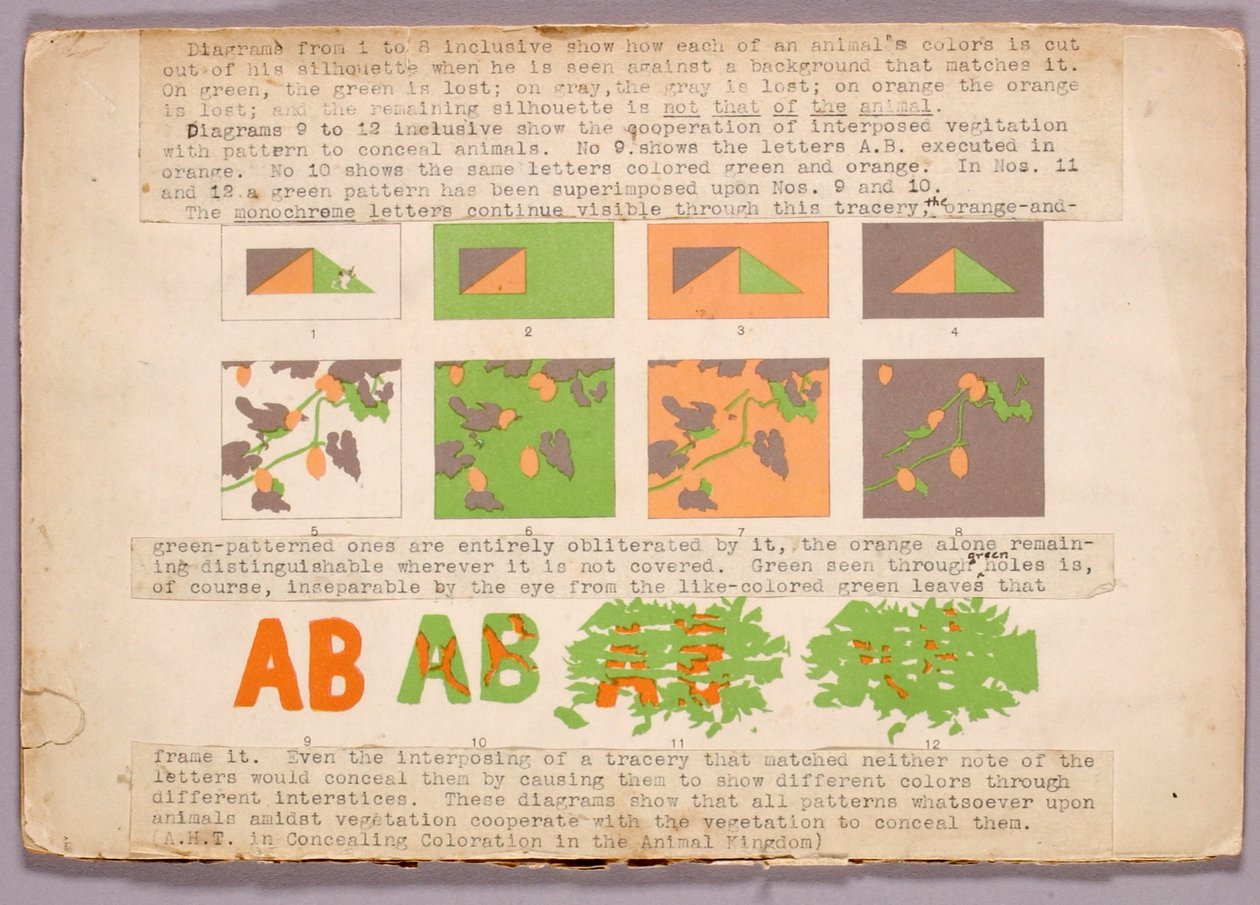Diagramm und Kupferkopfschlange, Studienmappe für das Buch Concealing Coloration in the Animal Kingdom av Abbott Handerson Thayer