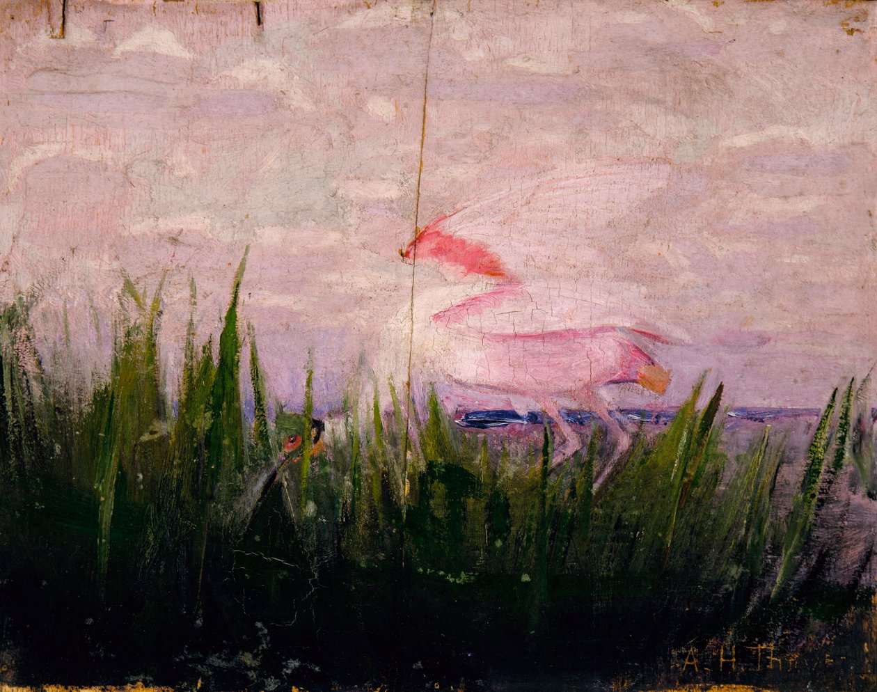  av Abbott Handerson Thayer