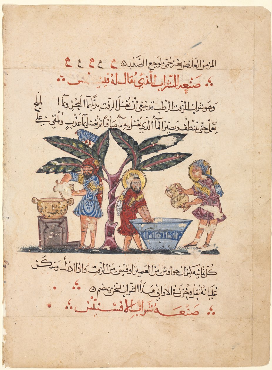Folio fra en arabisk oversettelse av Materia Medica of Dioscorides, 1224. av Abdallah ibn al Fadl