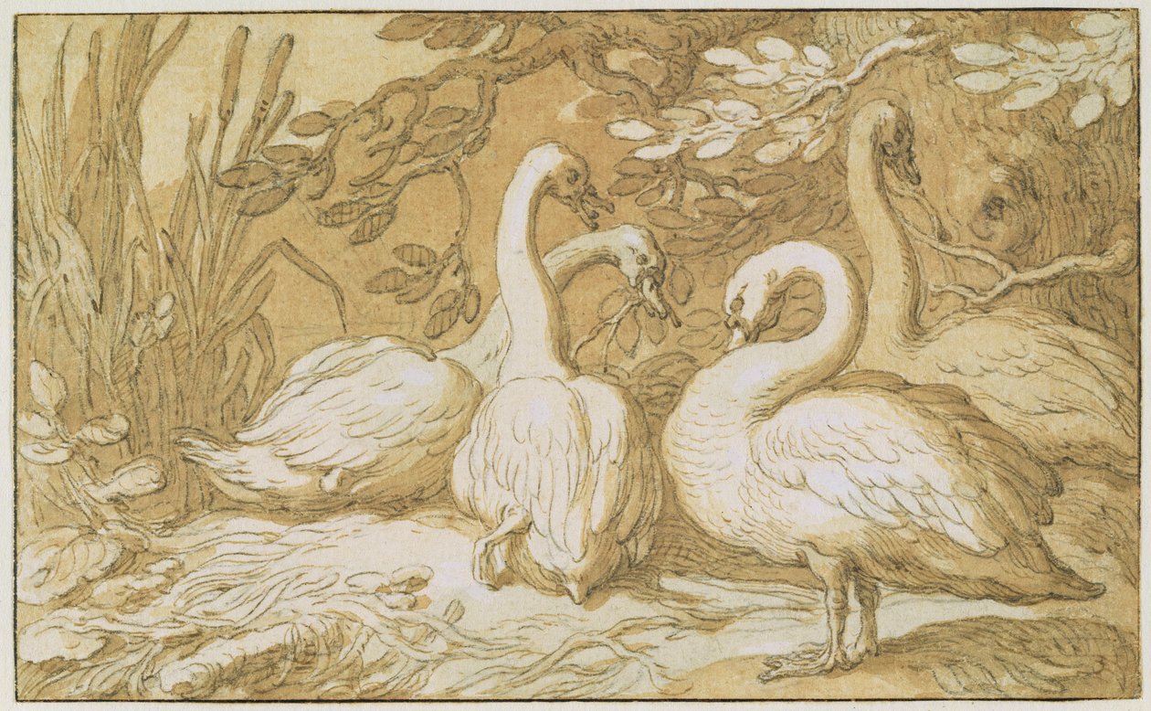 En gruppe svaner (penn og vask og kroppsfarge på papir) av Abraham Bloemaert