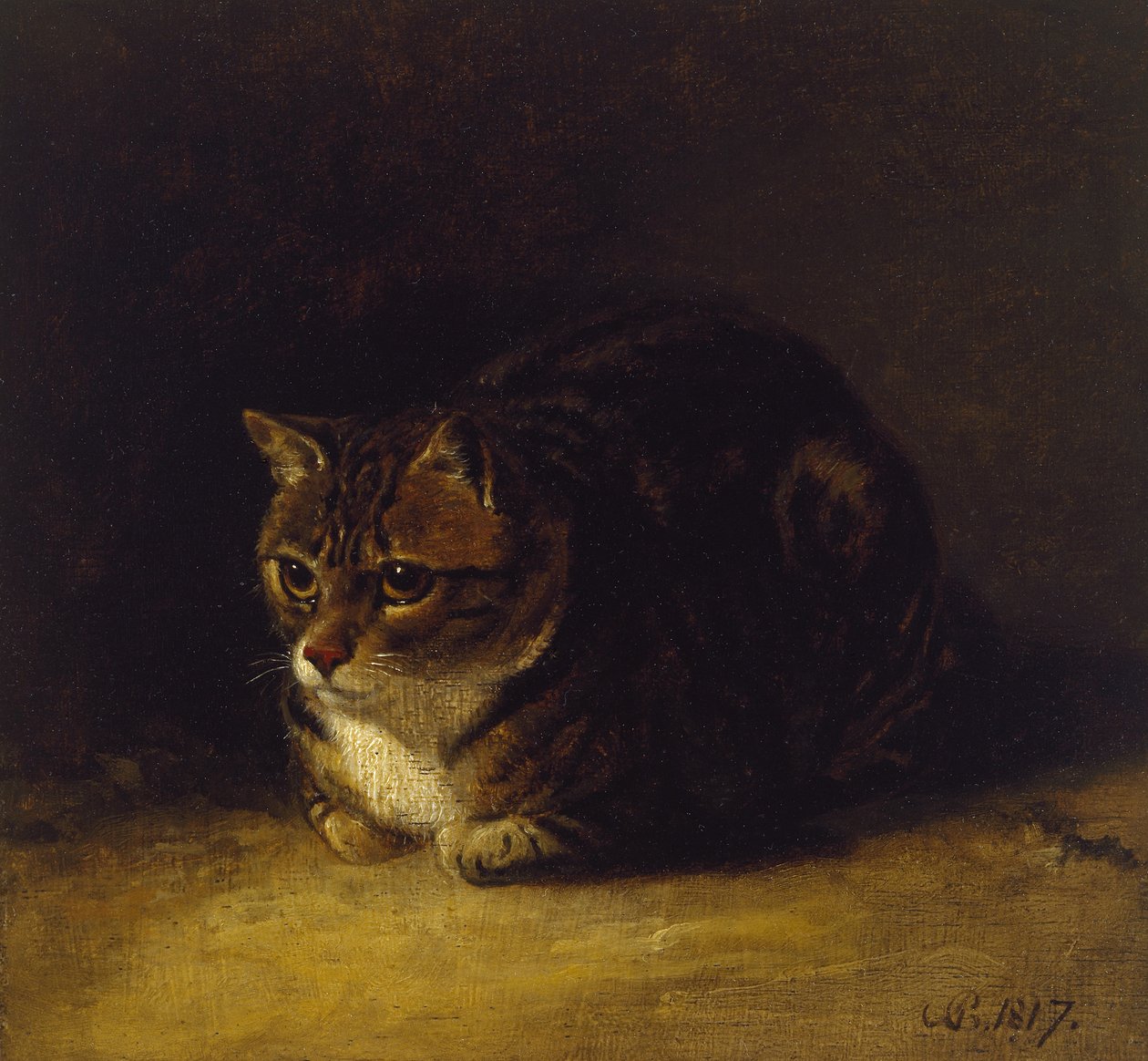 Studie av en katt, 1817 (olje på panel, montert som tegning) av Abraham Cooper
