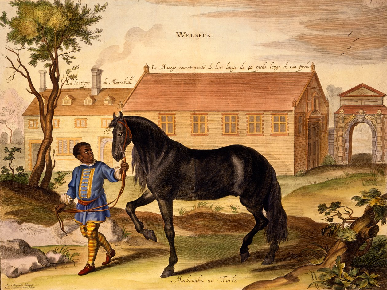 Makomilia, en tyrker, ledet av en negerstallgutt i livery, fra 'The Method and New Invention of Dressing Horses' av William Cavendish, utgitt 1737 (2nd edn) (akvatint) av Abraham van Diepenbeeck