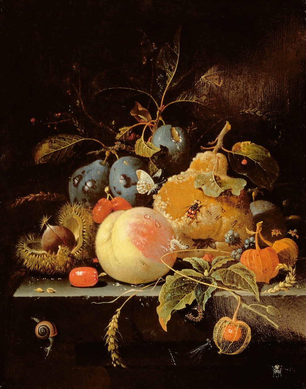 Stilleben av frukt og nøtter på en steinhylle av Abraham Mignon