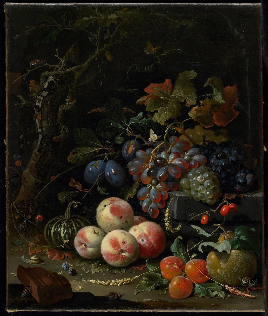 Stilleben med frukt, løvverk og insekter, ca. 1669 av Abraham Mignon