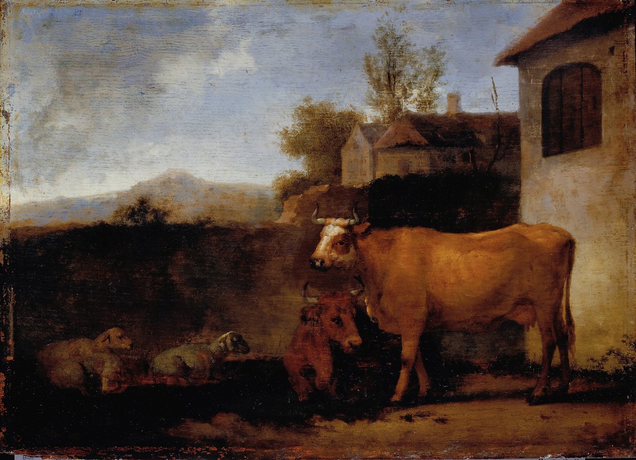 Kuer og sauer av Abraham van Calraet
