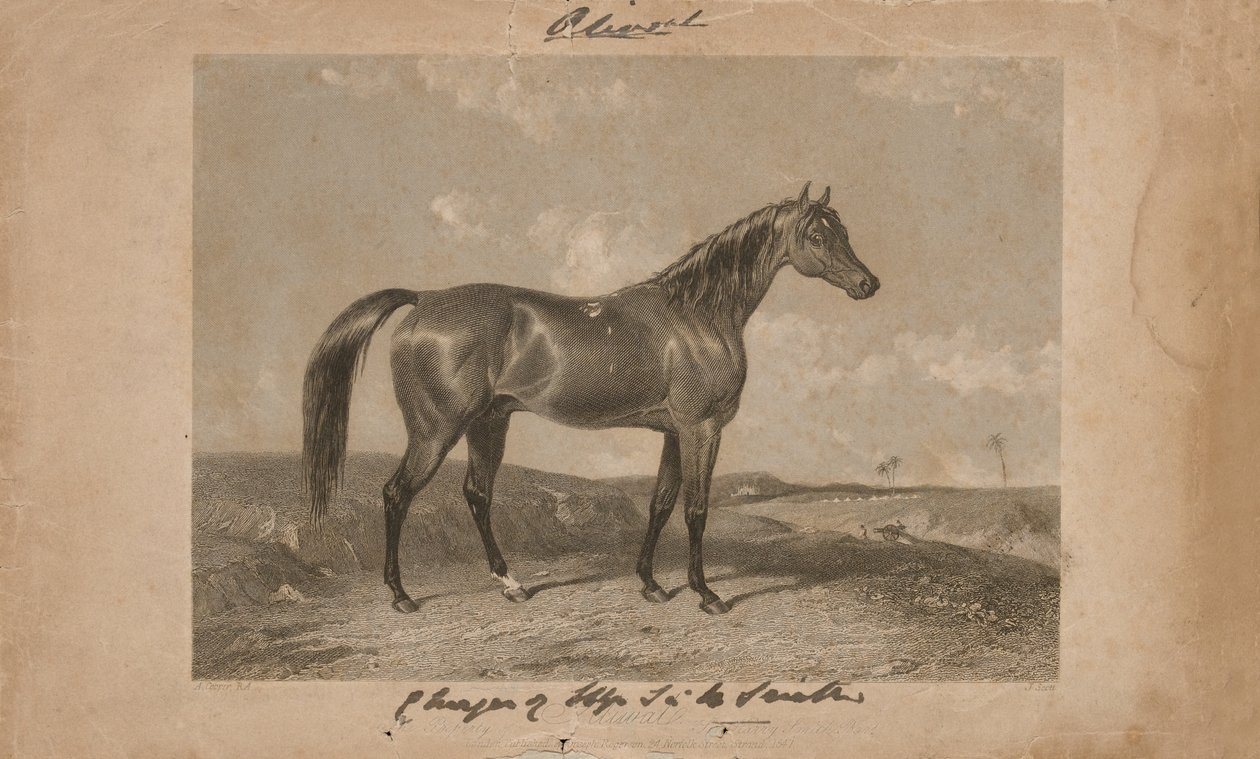 Aliwal, eiendommen til Sir Harry Smith, Bart (litografi) av Abraham (after) Cooper