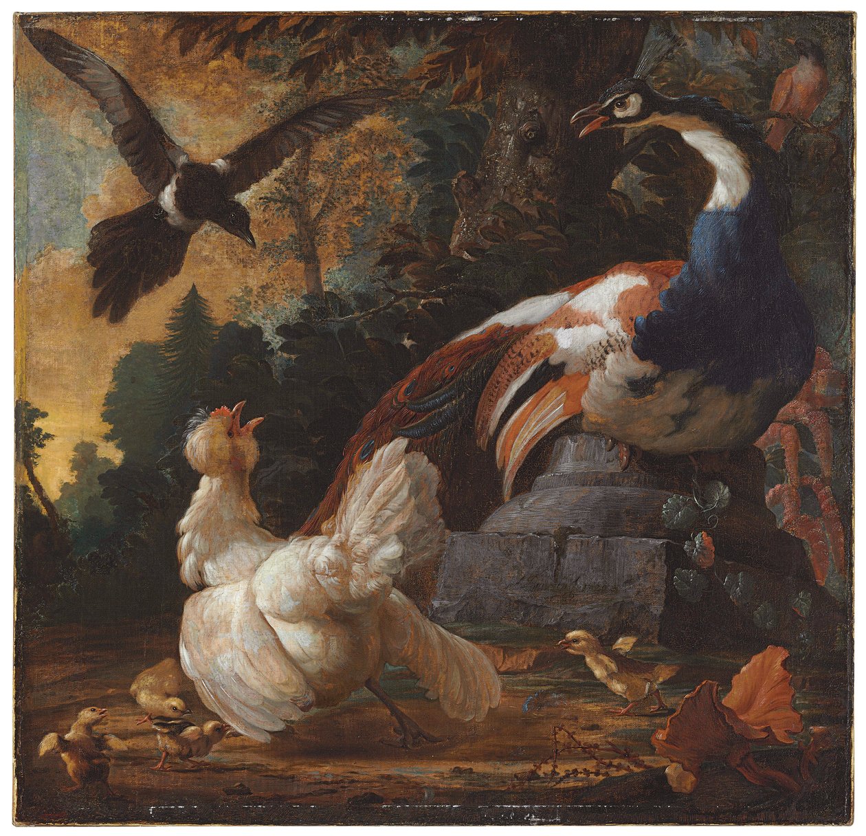 En påfugl, fjærfe og en skjære i et landskap, 1720 av Abraham Bisschop