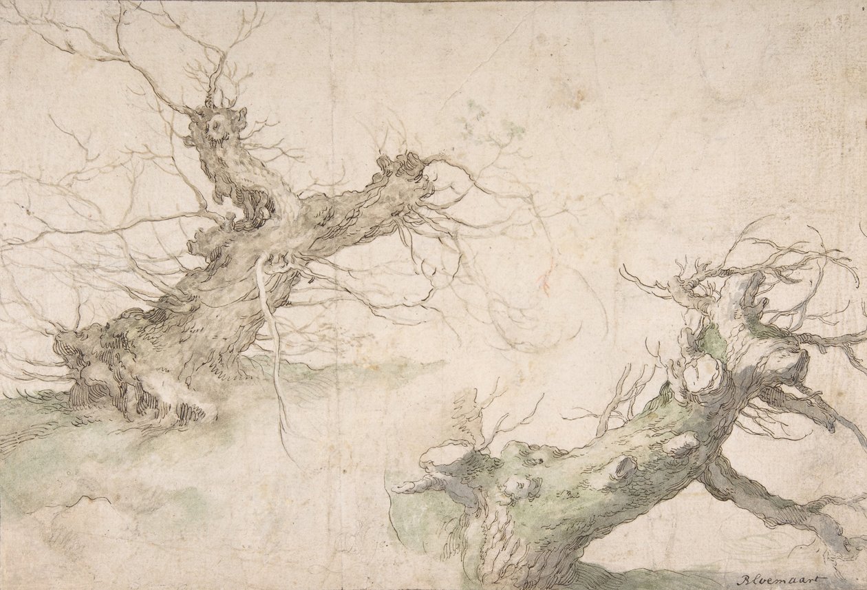 Studier av Two Pollard Willows, Verso: Wide Landscape Prospect, slutten av 1500- og midten av 1600-tallet. av Abraham Bloemaert