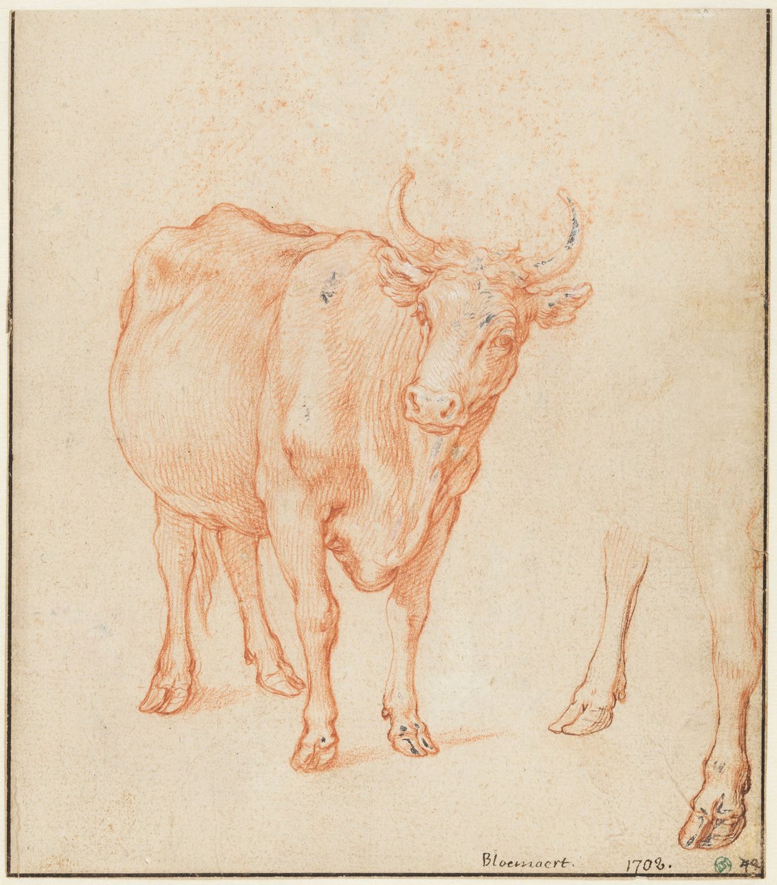Studier av en ku av Abraham Bloemaert