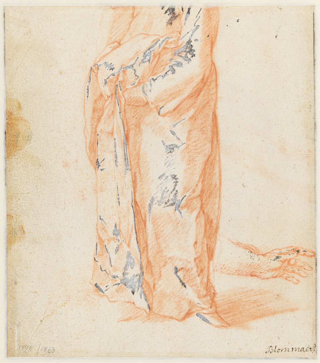 Studier av en ku av Abraham Bloemaert