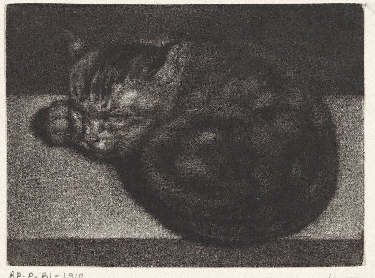 Sovende katt av Abraham Bloteling
