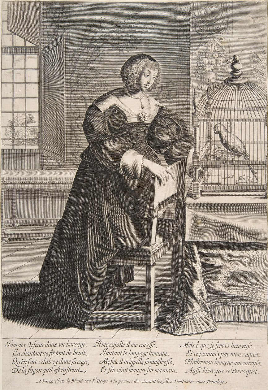 Papegøyen, 1620-76. av Abraham Bosse