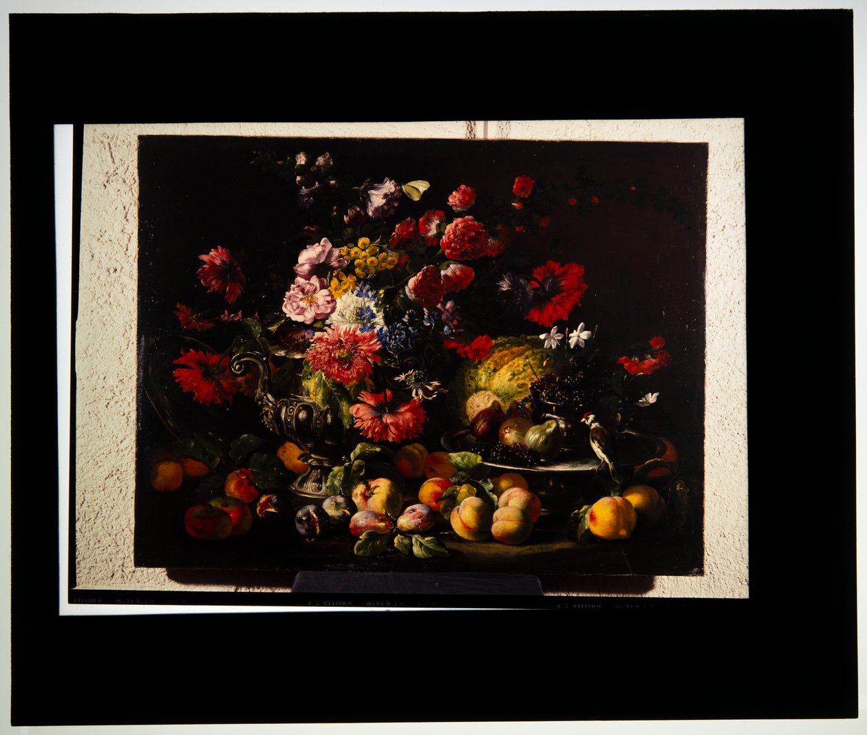  av Abraham Brueghel