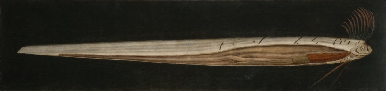  av Abraham Bruiningh van Worrell