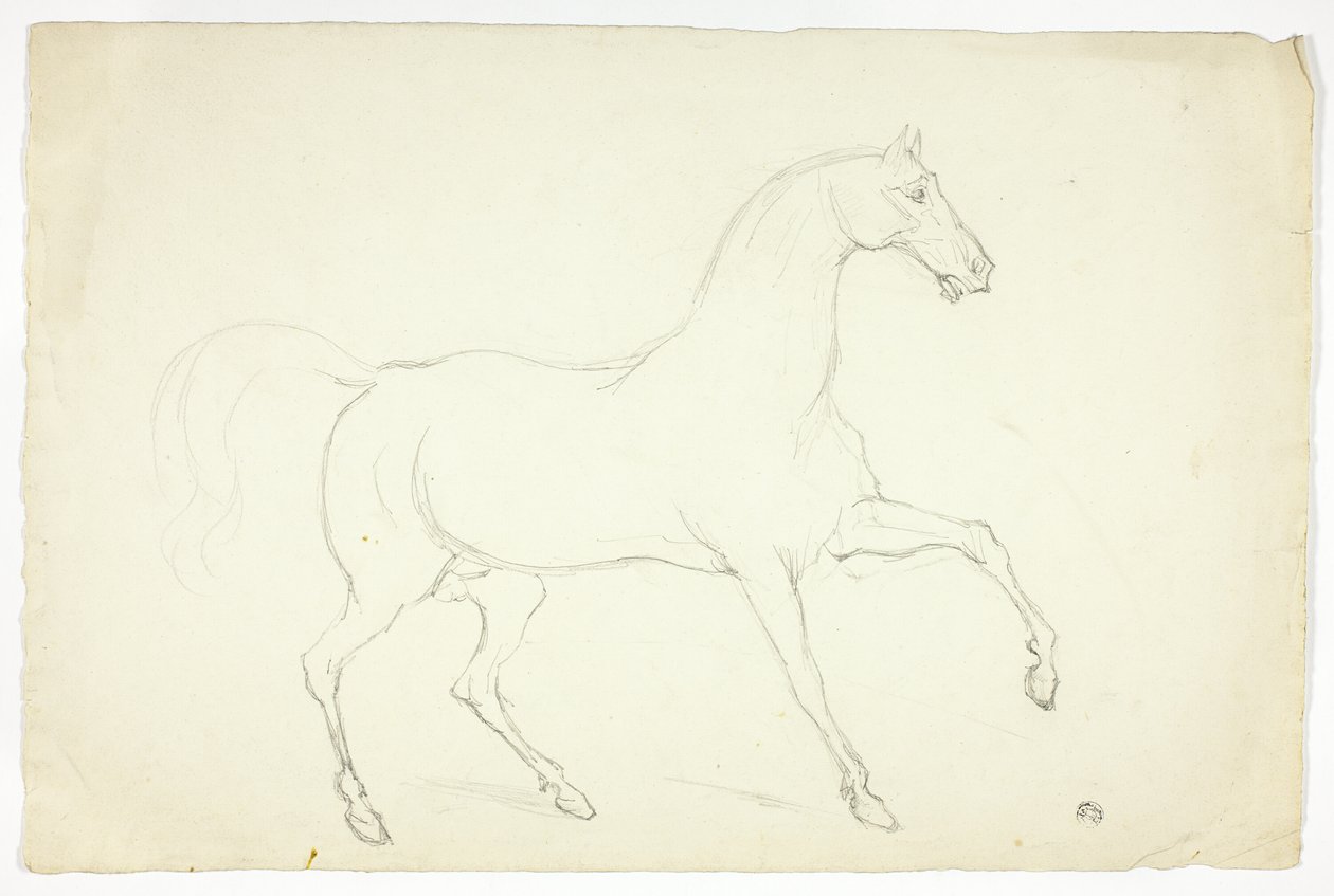 Hingst av Abraham Cooper