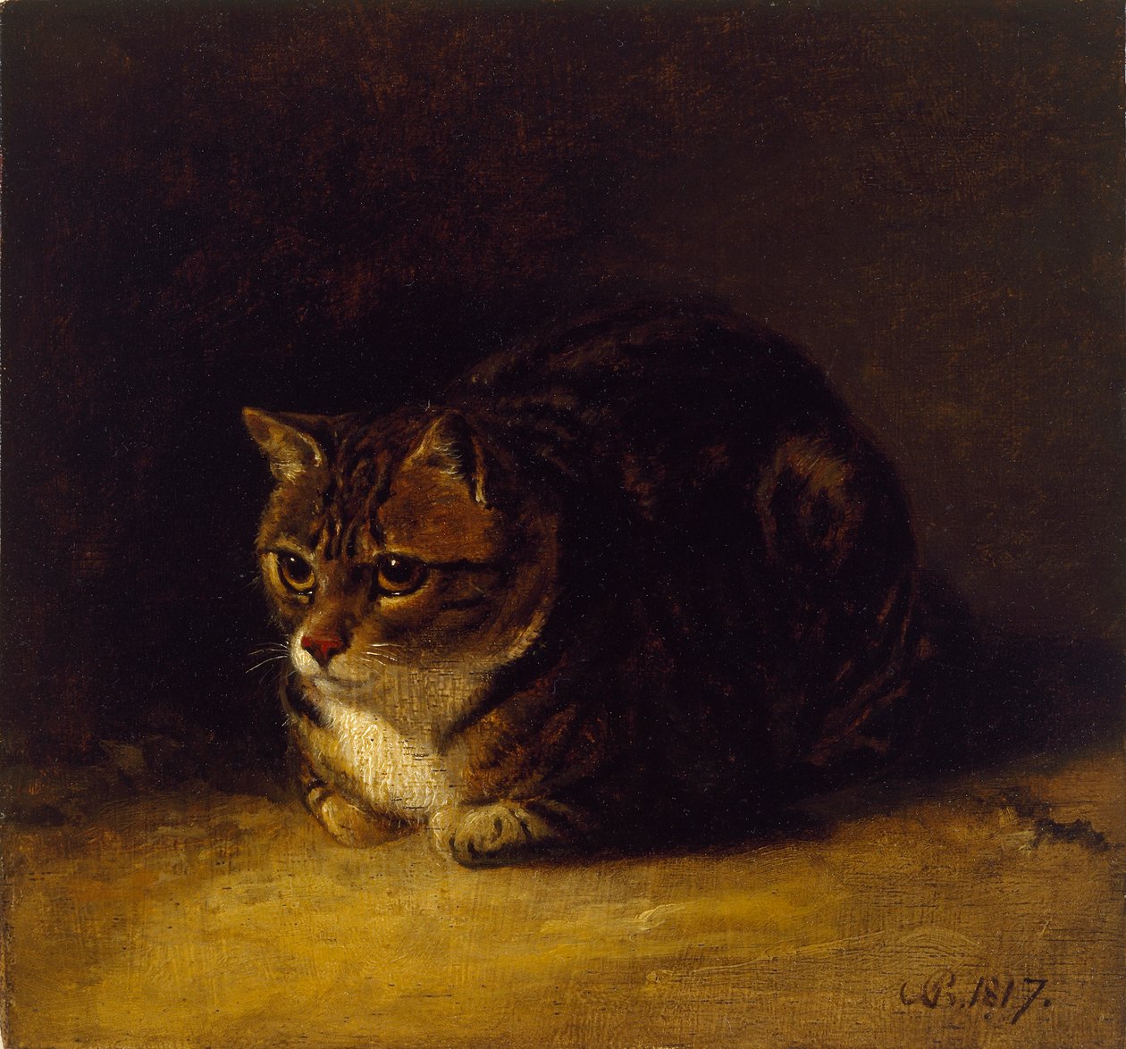Studie av en katt, 1817 av Abraham Cooper