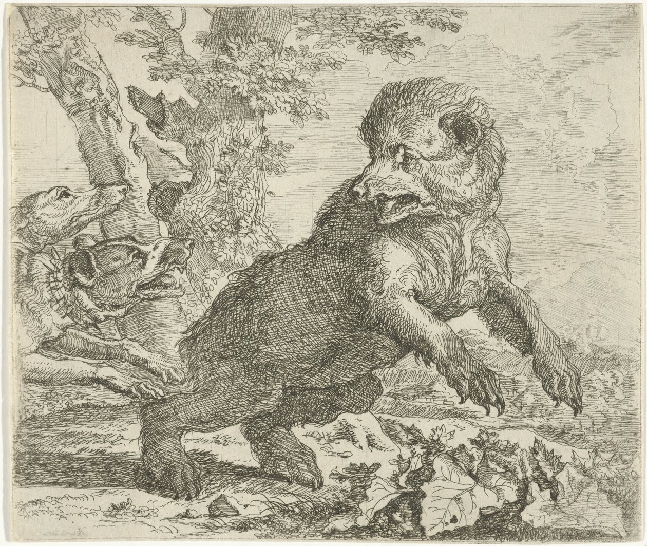 Bjørn angrepet av hunder Forskjellige dyr (serietittel) av Abraham Danielsz. Hondius