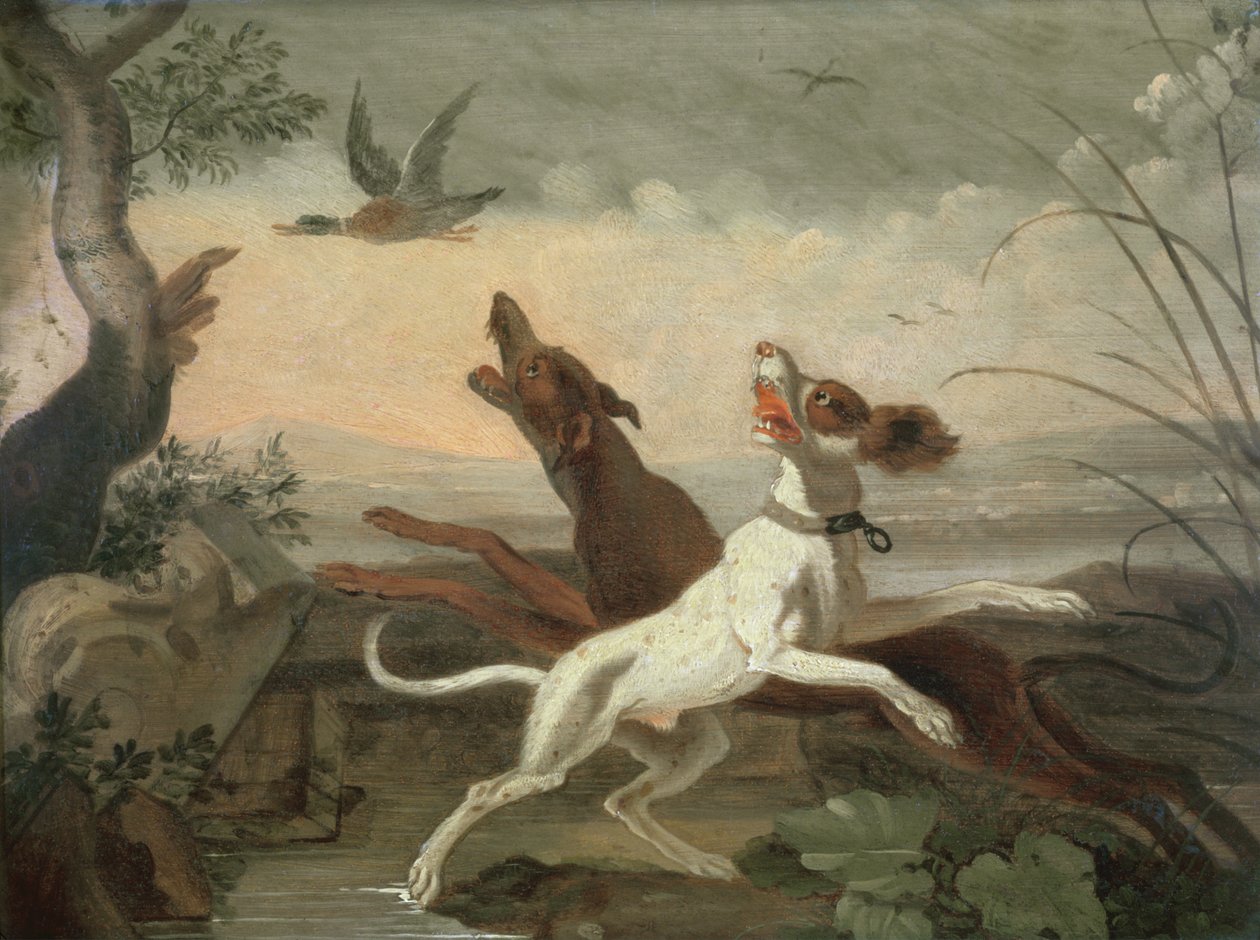 Ukjent bilde av Abraham Danielsz. Hondius