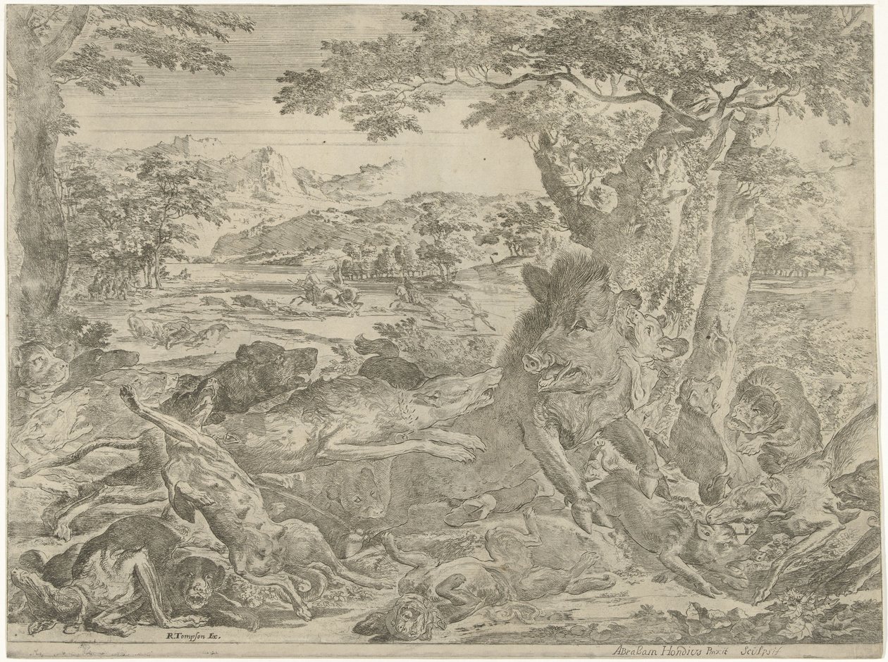 Villsvin angrepet av hunder av Abraham Danielsz. Hondius