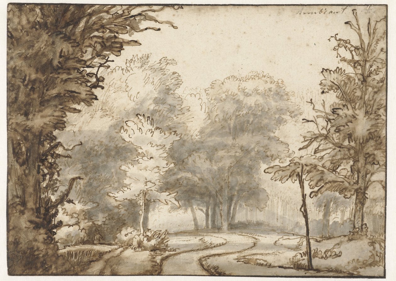 Vei gjennom skogen av Abraham Furnerius