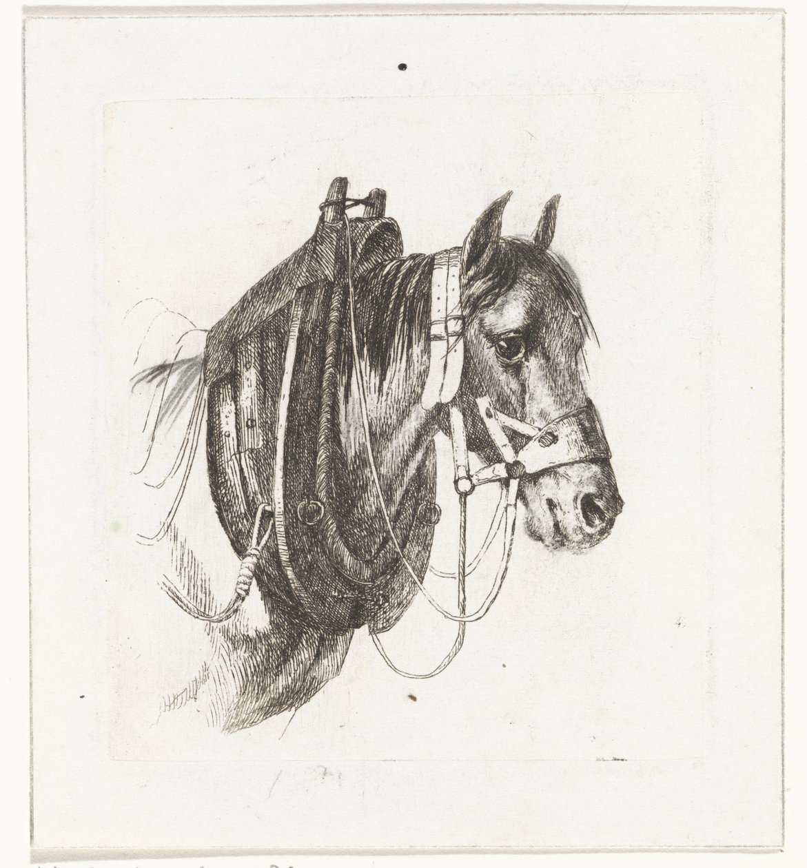 Hestehode med hodelag, sele og sal av Abraham Hendrik Winter