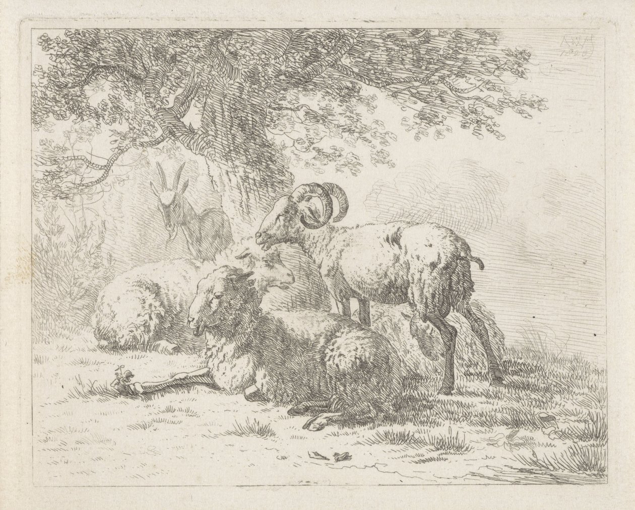 Sau og en geit av Abraham Hendrik Winter