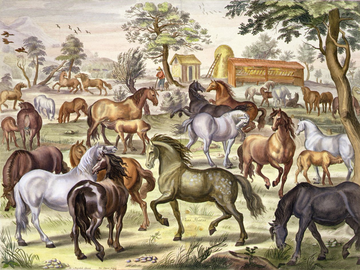 Free-Running Horses, plate 11 fra 