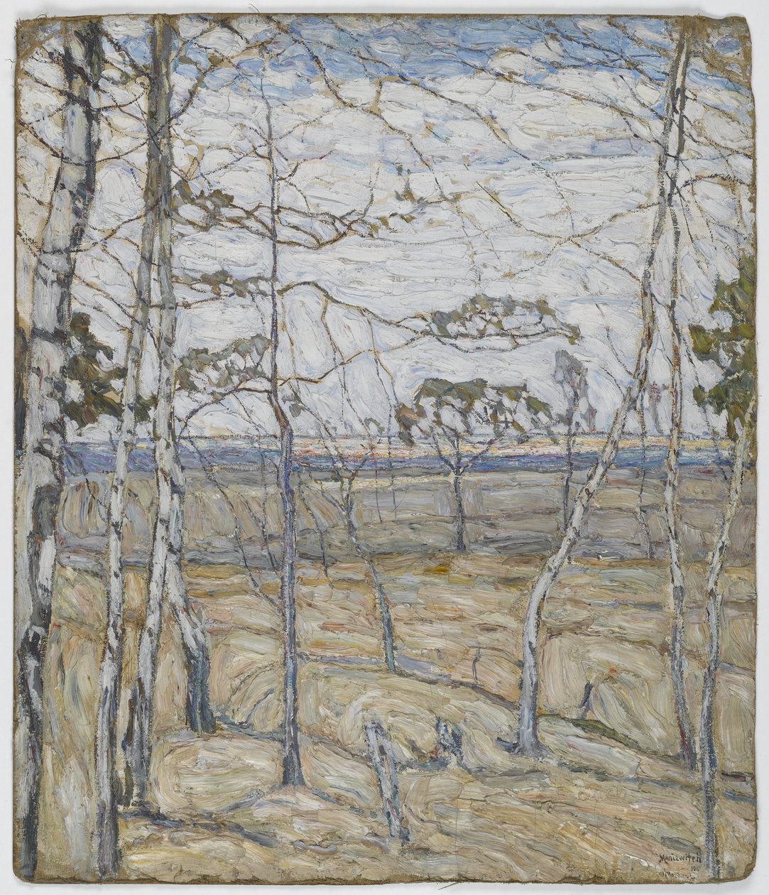 Bjørketrær av Abraham Manievich