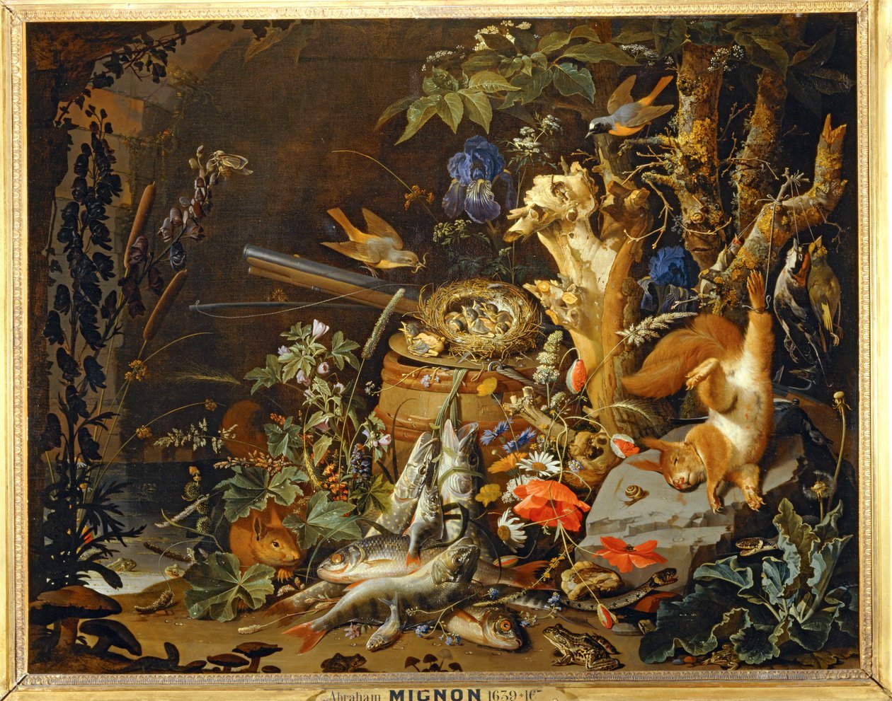  av Abraham Mignon