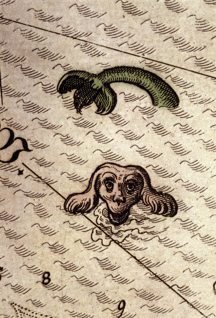 Et marinemonster har et hundehode og en fiskekropp. Detalj av et kart i "Theatrum Orbis Terrarum" av Abraham Ortelius, Antwerpen 1584. av Abraham Ortelius