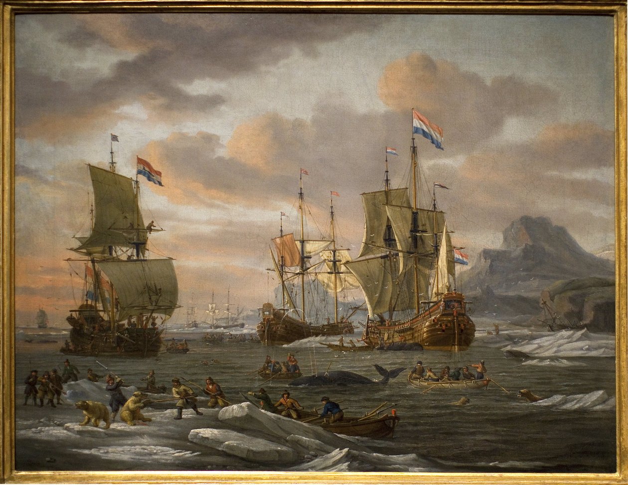 Hval- og isbjørnfiske på Spitzberg Island (Polhavet) med fartøyer fra den nederlandske flåten. Maleri av Abraham Storck (eller Sturckenbuch av Abraham Storck