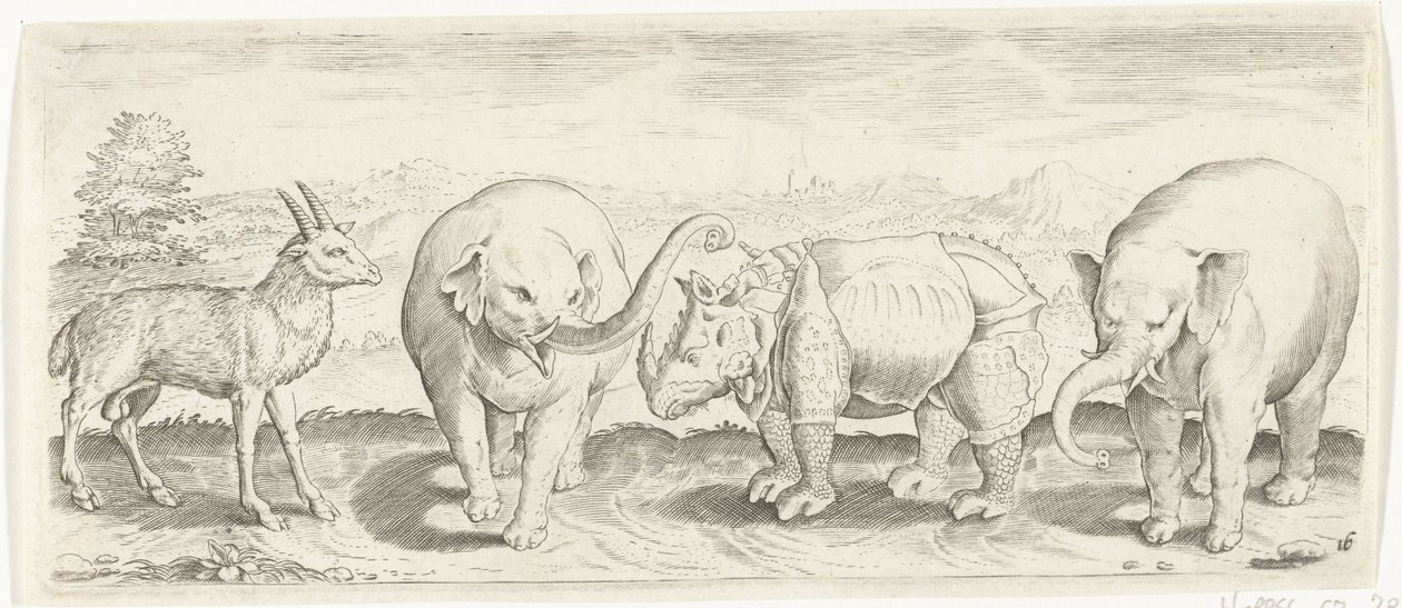Gaselle-, elefant- og neshorndyr (serietittel) av Abraham de Bruyn (possibly)