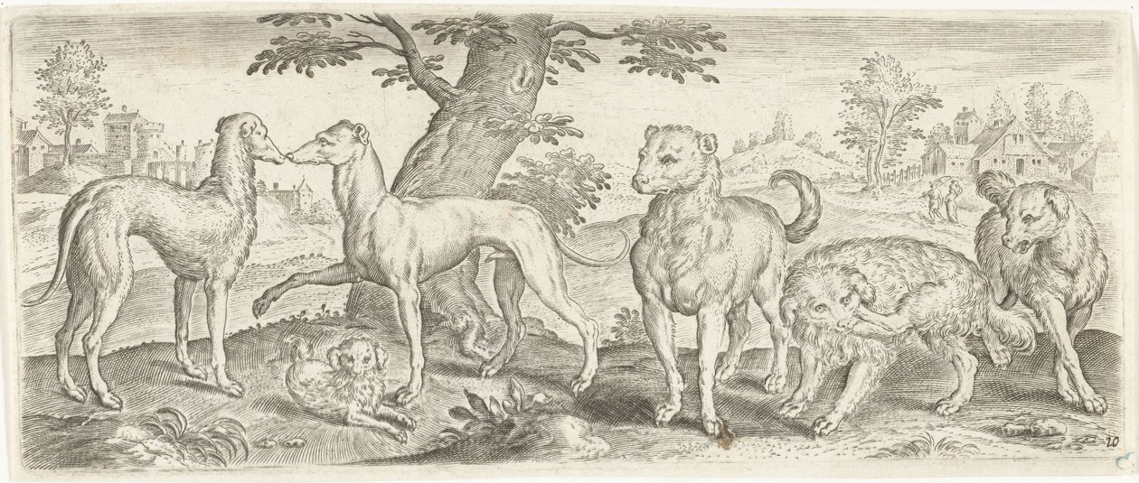 hunder Dyr (serietittel) av Abraham de Bruyn (possibly)