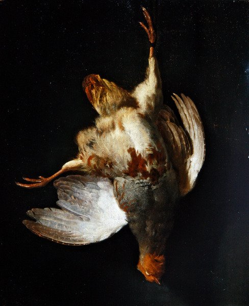 Et stilleben med en rapphøne hengende fra en spiker (olje på panel) av Abraham van Calraet