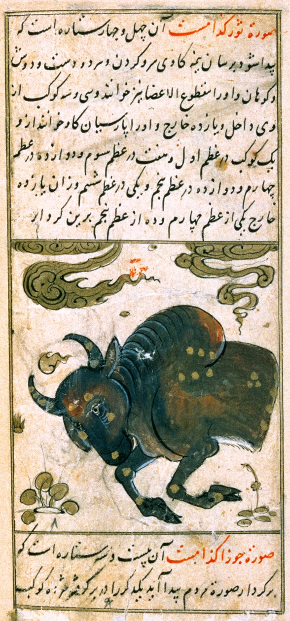 Stjernetegnene i dyrekretsen: Tyren, oksen, fra Talim dar marifat i taqvuim, 1498 (903 Hijra) av Abu Jafar al Tabari