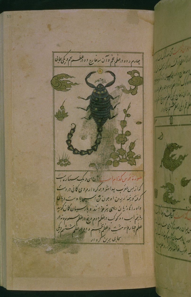 Stjernetegnene i dyrekretsen: Skorpionen, skorpionen, fra Talim dar marifat i taqvim, 1498 (903 Hijra) (blekk) av Abu Jafar al Tabari